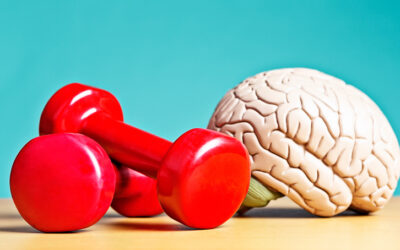 Unleashing the Power Within How Performance Brain Training is Revolutionizing Elite Athletes